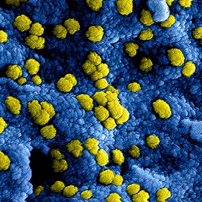 Carona virus afbeelding