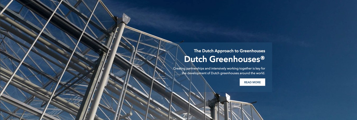 Dutchgreenhouses