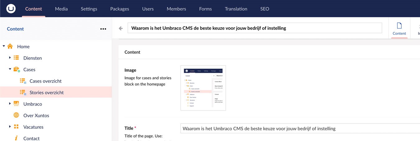 Umbraco CMS user interface